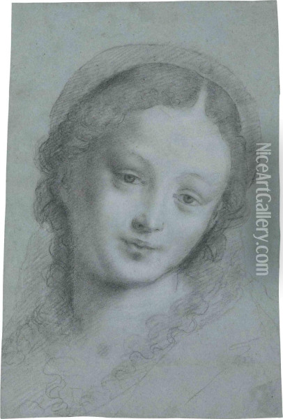 The Head Of The Virgin Oil Painting - Bernardino Lanino