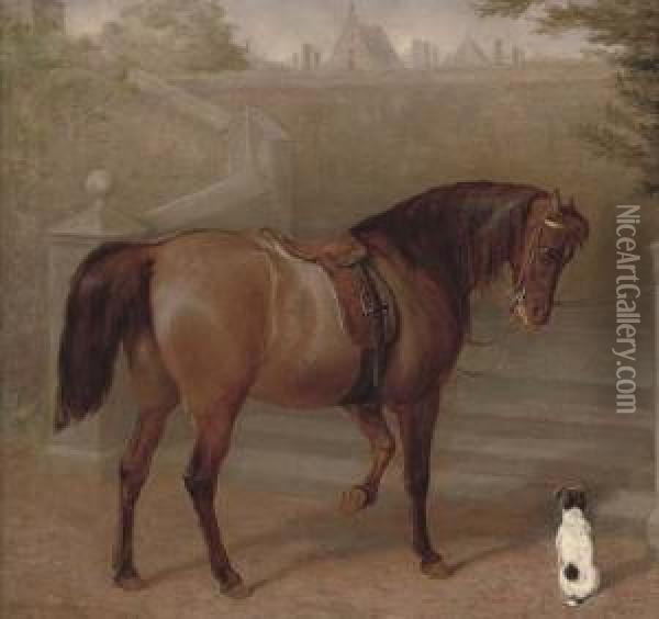 The Doctor's Pony Oil Painting - Gourlay Steell