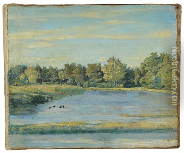 Teich Im Bois De La Batie Oil Painting - Ferdinand Hodler