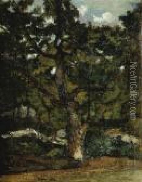 Vue De La Foret De Fontainebleau Oil Painting - Antoine-louis Barye