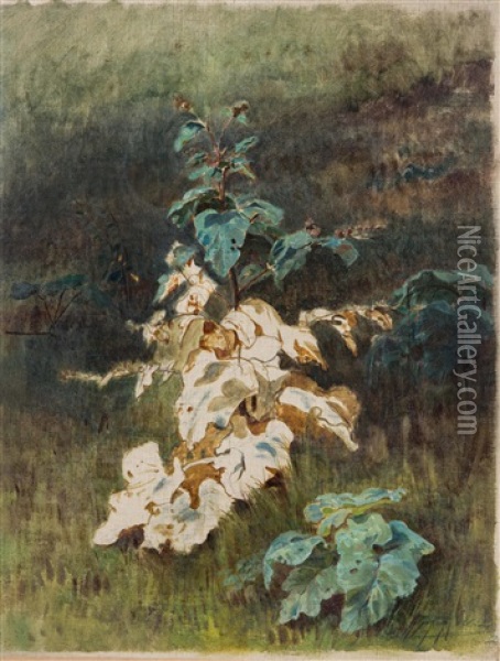 Pflanzenstudie (unvollendet) Oil Painting - Julius von Blaas