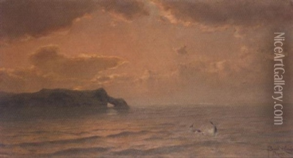 Dolphins Oil Painting - Benes (Benesch) Knuepfer