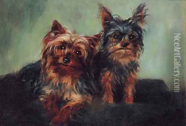Yorkshire Terriers Oil Painting - English School