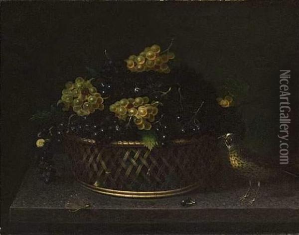 Grive Pres D'un Panier De Raisins Avec Escargot, Mouche Et Libellule. Oil Painting - Francesco Codino