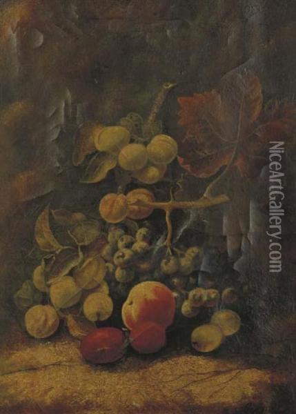 Still Life With Figs, Grapes, Peaches And Plums On A Stone Ledge Oil Painting - George Clare