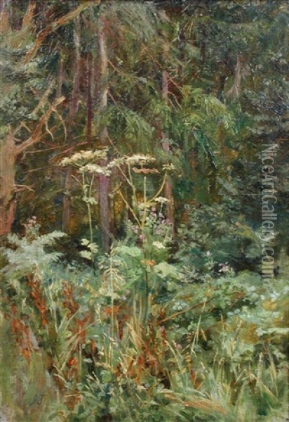 Woodland Scene With Cow Parsley Oil Painting - Isa Jobling