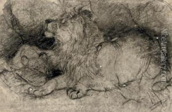 Study Of A Lion And Lioness Oil Painting - Josef Wolft Richter