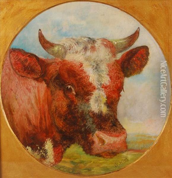 Studyof A Cows Head Oil Painting - William Huggins