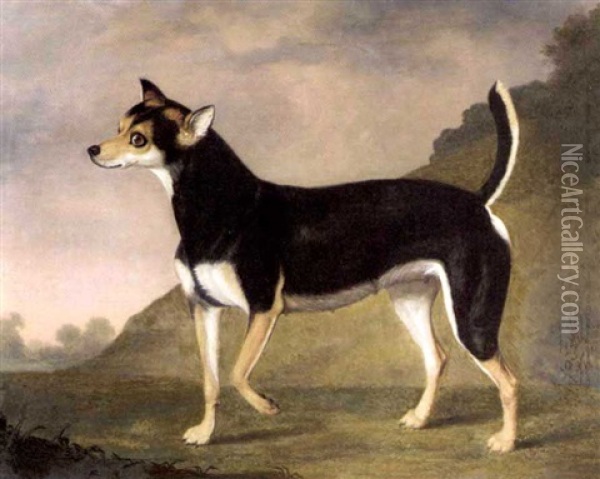 A Terrier In A Landscape Oil Painting - Francis Sartorius the Elder