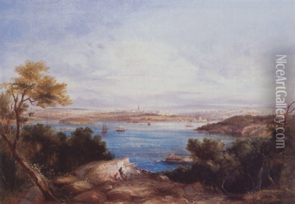 Sydney From Robertson's Point Oil Painting - Conrad Martens