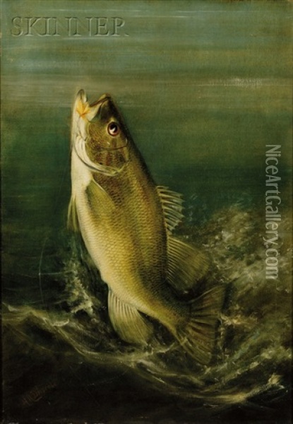 Small Mouth Bass Oil Painting - Harry Driscole