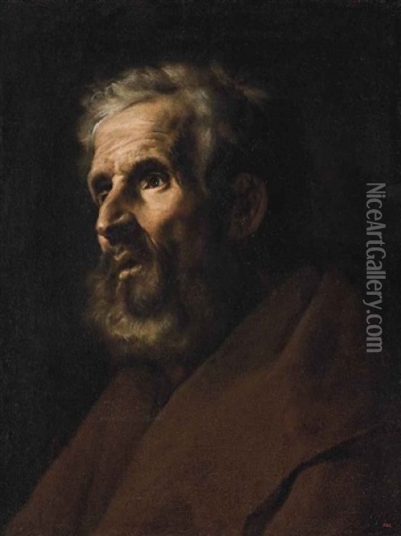 Head Study Of A Bearded Man Oil Painting - Francesco Fracanzano