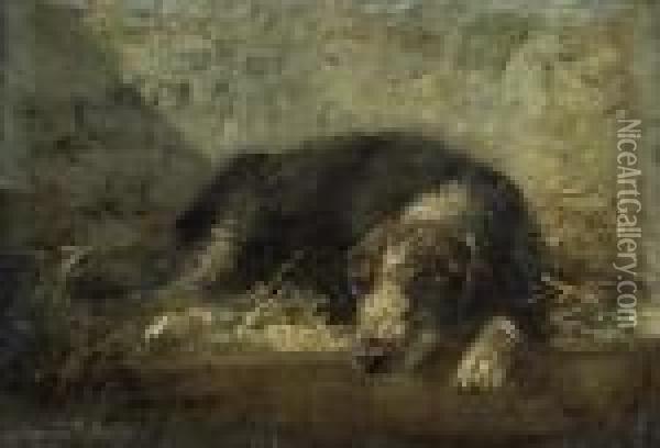 Schlafender Hund. Oil Painting - Charles Emile Jacque