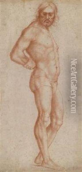 Study Of A Man Standing Oil Painting - Giovanni Antonio Sogliani