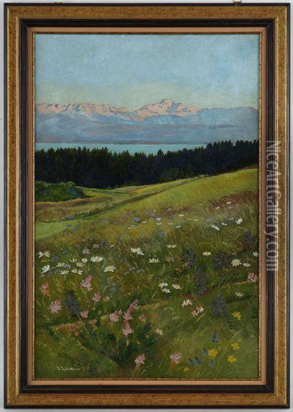 Le Mont-blanc Vu De La Cote Vaudoise Oil Painting - Charles L'Eplattenier
