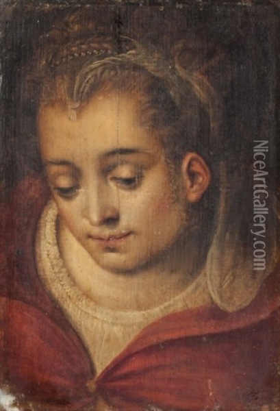 Portrait De Femme A La Parure De Perles Oil Painting - Frans Floris the Elder