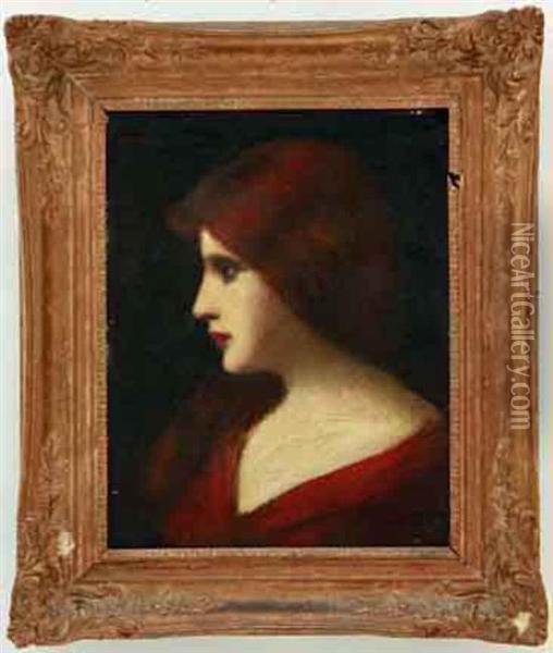 Portrait Of Lady In Red Dress Oil Painting - H. Henner