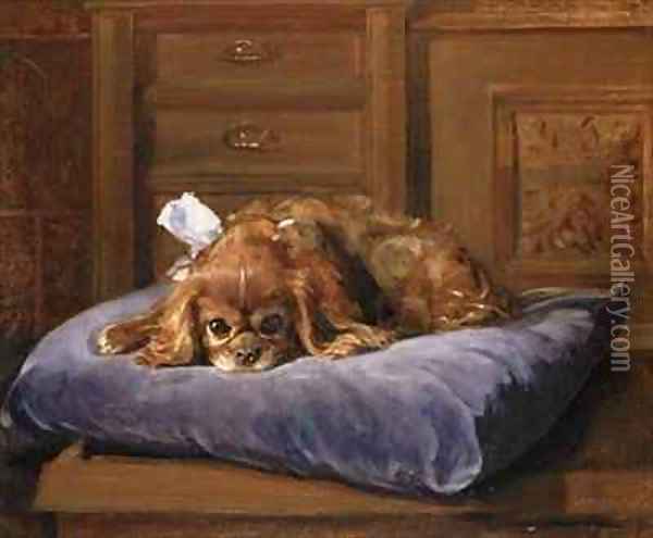 King Charles Spaniel Oil Painting - C. Fulton