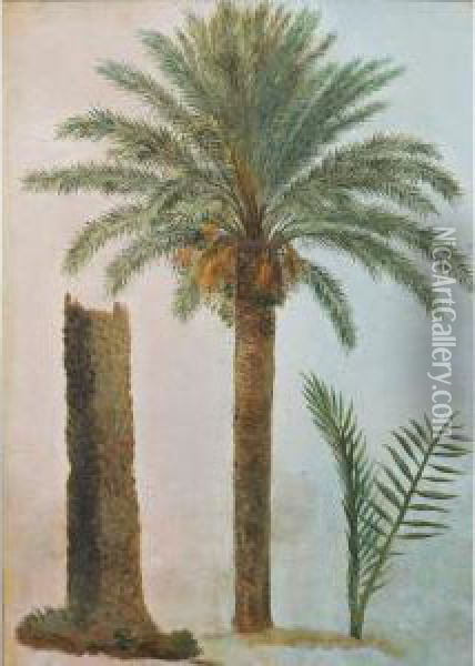 Palmiers A Rome Oil Painting - Simon-Joseph-Alexandre-Clement Denis