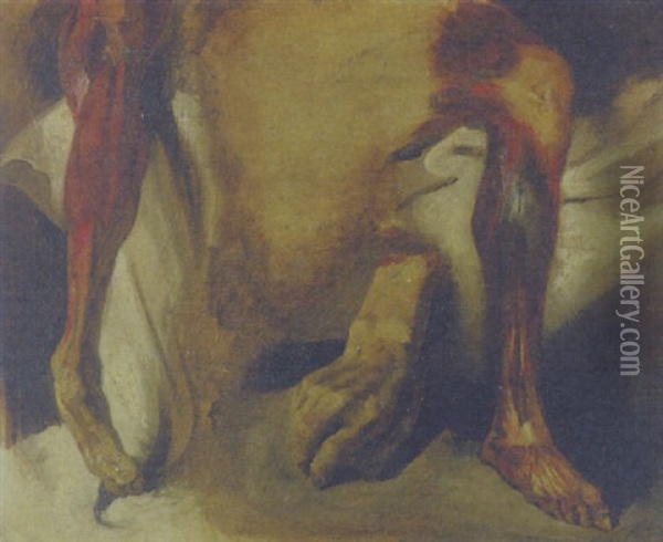Asvered Hand And Two Ecorches Of A Leg Oil Painting - Eugene Delacroix