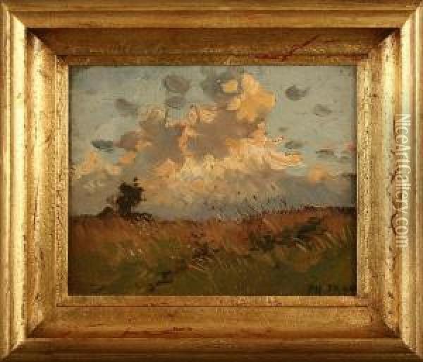 Sommerliche Wiesenlandschaft Unter Hohen Wolken Oil Painting - Philipp Franck