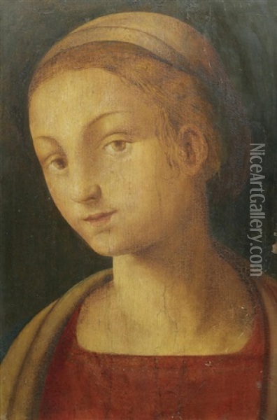Portrait Of A Lady, Bust-length, In A Red Dress Oil Painting - Amico Aspertini
