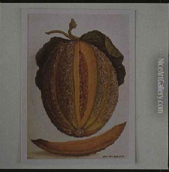 Melon Oil Painting - Jacques (de Morgues) Le Moyne