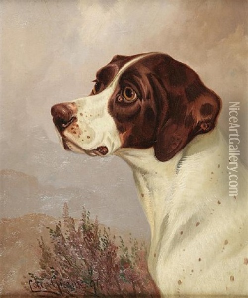 Pointer Head Study Oil Painting - Colin Graeme