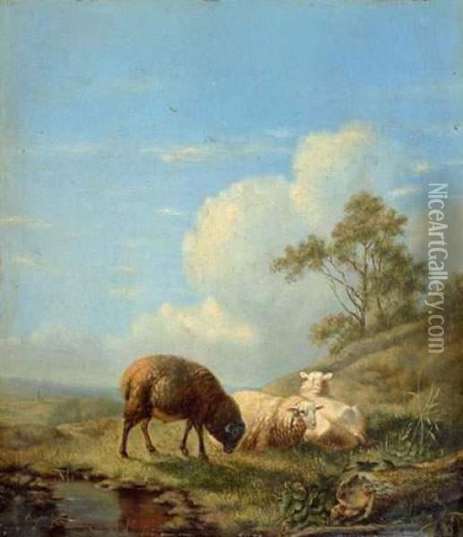 Sheep On The Meadow. Oil Painting - Eugene Joseph Verboeckhoven