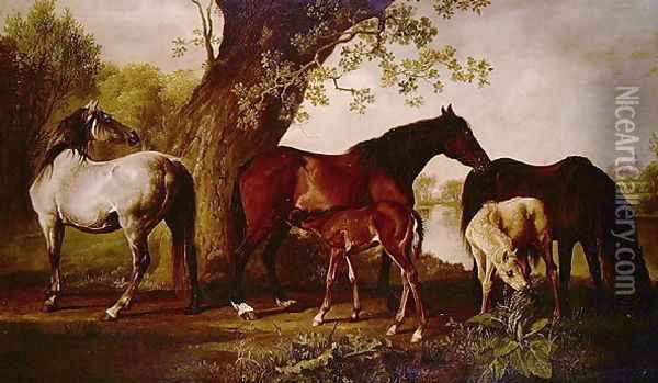 Mare and Foals Oil Painting - George Stubbs