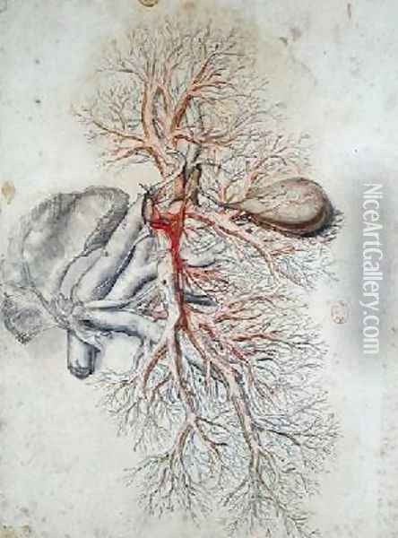 Blood vessels of the liver and the gall bladder Oil Painting - Gerard de Lairesse