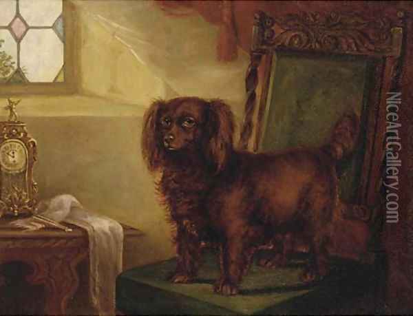 A spaniel in an interior Oil Painting - English School
