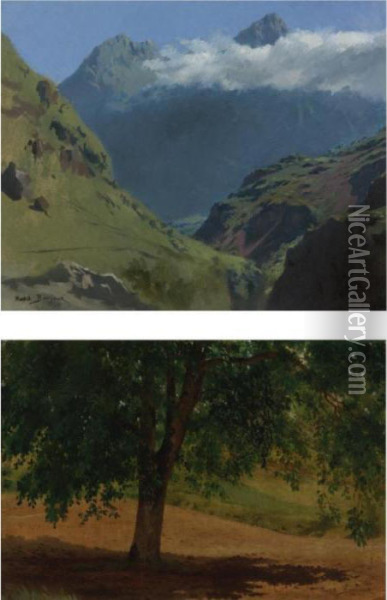 Landscape Studies: Pyrenees And Tree (two Works) Oil Painting - Rosa Bonheur