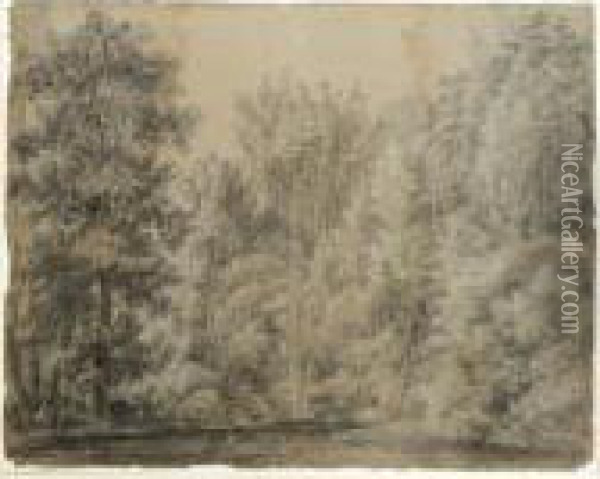 A Stream Amongst Woods Near Nijmegen Oil Painting - Anthonie Waterloo