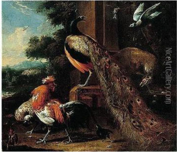 A Peacock, Peahen, Bantams And Pigeons In A Landscape Oil Painting - Melchior de Hondecoeter