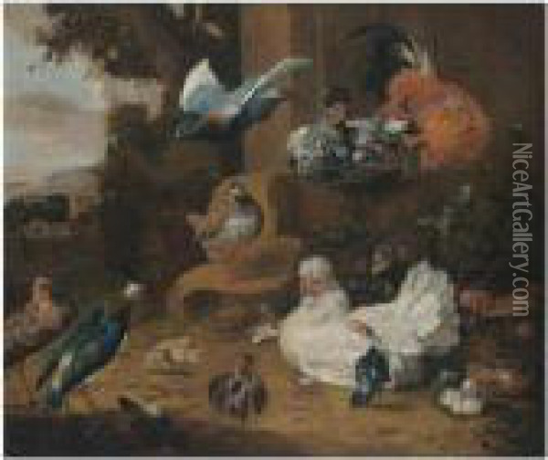 Hens, Chickens, A Pigeon And A Lapwing In A Garden Landscape Oil Painting - Melchior de Hondecoeter