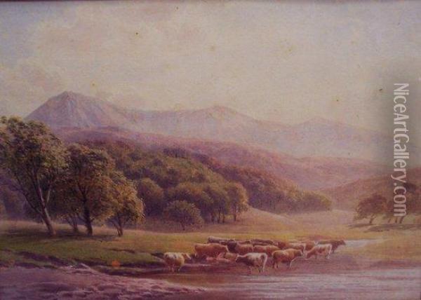 Cattle Watering Oil Painting - Henry Birtles