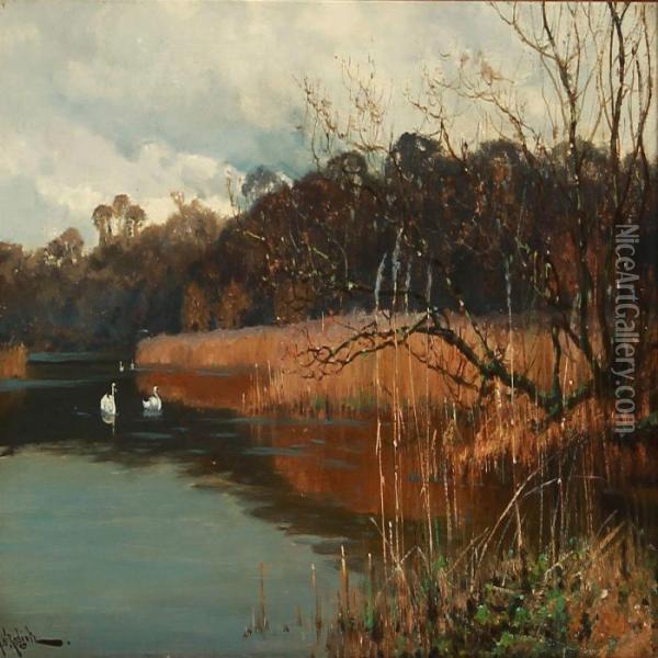 Swans On A Forest Lake Oil Painting - Arthur Walker Redgate