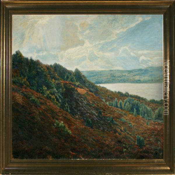 A Danish Moor Landscape With View Over Lake Oil Painting - Fritz Johannes Bentzen-Bilkvist