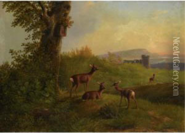 A Deer Family At Pasture Oil Painting - Carl Jutz