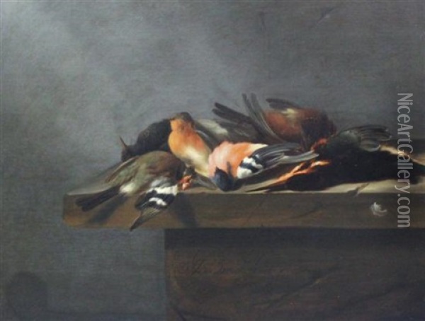 Dead Birds On A Stone Ledge Oil Painting - Jan Vonck