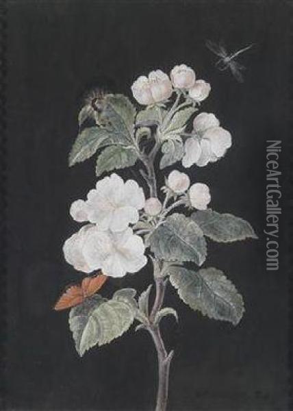 Paar Blumenstudien: Apfelbluten Mit Schmetterlingen; Weise Hyacinthen Mit Schmetterling Oil Painting - Margaretha Barbara Dietzsch