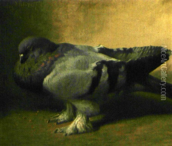 Pigeon Oil Painting - Niels Peter Rasmussen