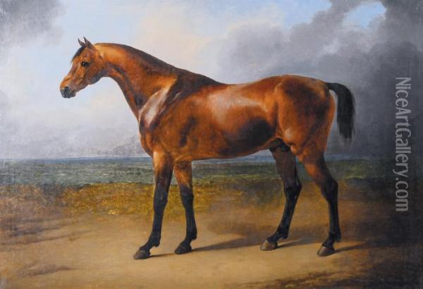 Pur Sang - Pure-bred (1837) Oil Painting - Eugene Joseph Verboeckhoven