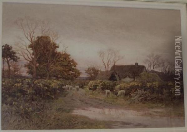 Cottage In A Wooded Landscape Oil Painting - Curtius Duassut