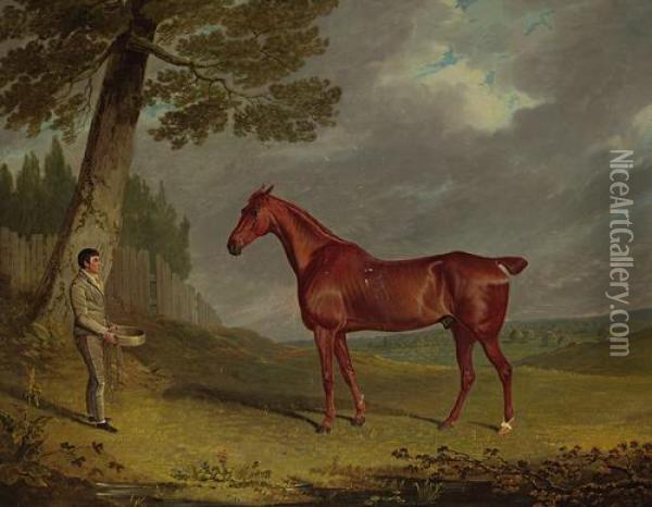 A Chesnut Hunter With A Groom In A Landscape Oil Painting - John Frederick Herring Snr