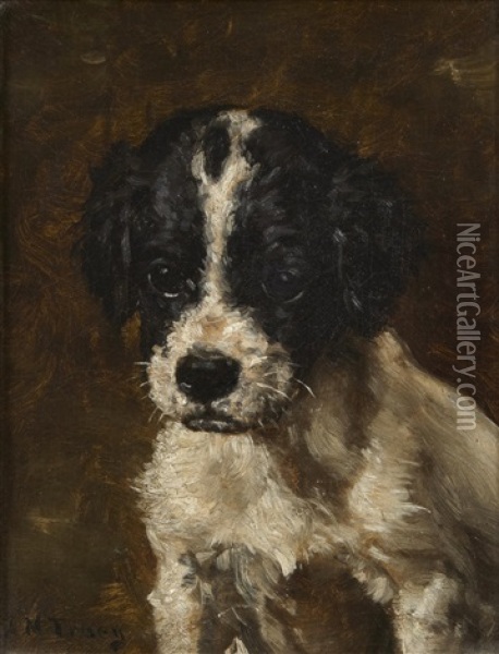 A Spaniel Puppy Oil Painting - John Martin Tracy