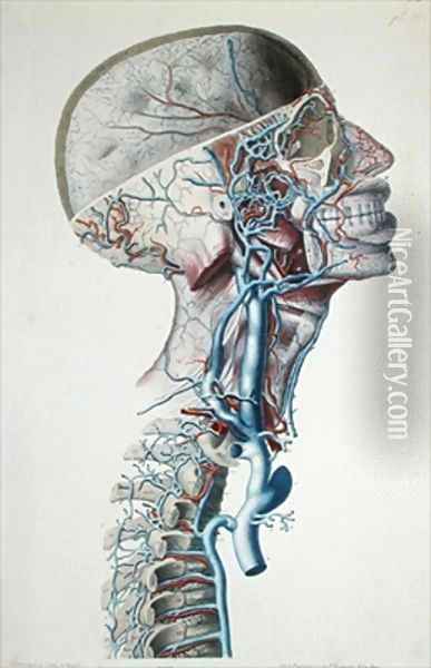 Veins and arteries in the head Oil Painting - Antoine Chazal