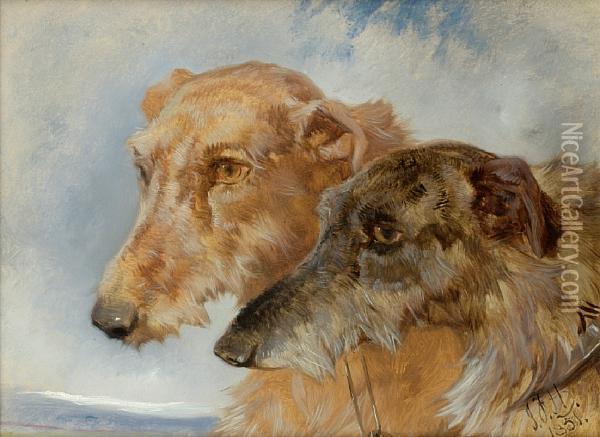 Coupled Deerhounds; Coupled Foxhounds Oil Painting - John Frederick Herring Snr