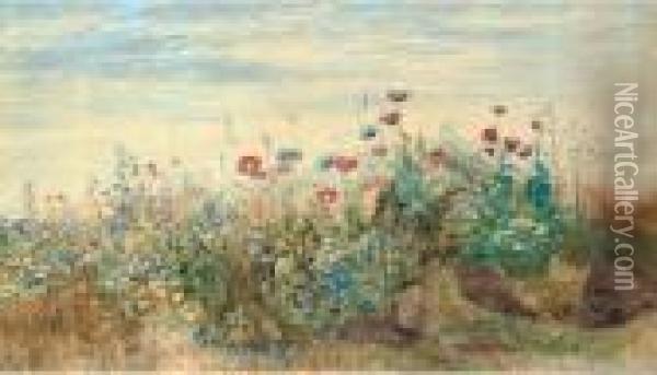 A Flowerbank With Poppies, Harebells And Marigolds Oil Painting - Andrew Nicholl